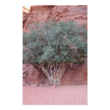 Desert Trees Stationery Paper