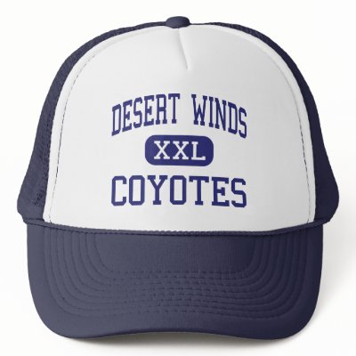 Desert Winds - Coyotes - High - Lancaster Mesh Hats by customteamsportswear
