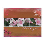 DesertBotanicals Postcard - brown