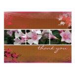 DesertBotanicals Postcard - brown