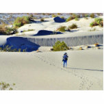 Deserts Sand Dunes 4 Cut Out