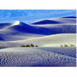 Deserts Sand Dunes 5 photo sculptures