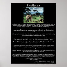 Desiderata a herd of elephants in africa Posters