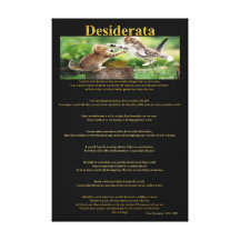 Desiderata Cat Fight Gallery Wrapped Canvas