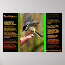 DESIDERATA Flying Sparrow Posters