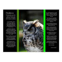 DESIDERATA Great Horn Owl Postcard 6
