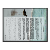 Desiderata Poem - Seagull on the Beach Scene Post Cards