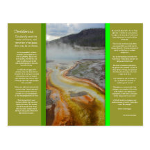DESIDERATA Thermal Pools Postcard