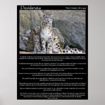 Desiderata  two cheetahs in the mountain poster
