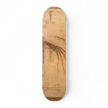 Design for a flying machine. skate board decks