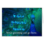 Design your own card