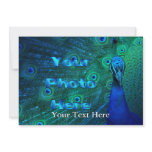 Design your own custom announcements