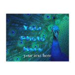 Design your own post cards