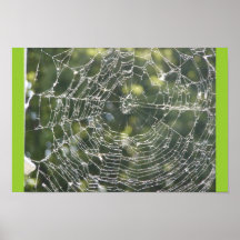 Designer Web Print