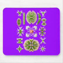 Desmids Mouse Pad