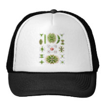 Desmids Trucker Hat