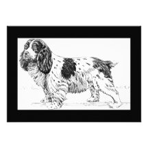 Dessin de chien de springer spaniel invitation personnalisée