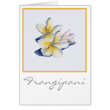Dessin de Frangipani Carte De Vœux
