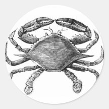 Dessin vintage de crabe adhésif
