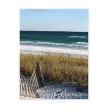 Destin Dreaming Post Card