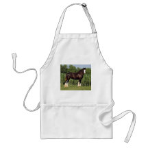 destiny apron