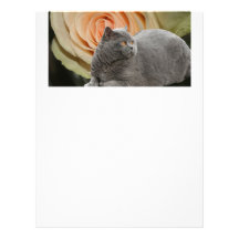 Destiny Gifts Personalized Letterhead