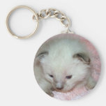 Destiny Keychains