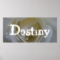 Destiny Poster