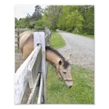 Destiny stretches out. photo