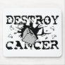 Destroy Cancer Mouse Pads
