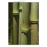 Détail de bambou de jungle cartes