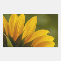 Détail de tournesol autocollants en rectangle