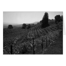 Detail, Draper Vineyards near St. Helena, 1966 Greeting Card