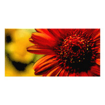 Detail of a Red Flower Photo Card