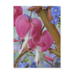 Detail of bleeding hearts and Brunnera Jack postcards