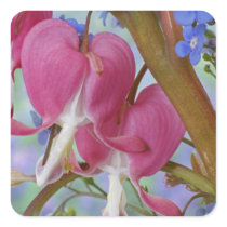 Detail of bleeding hearts and Brunnera Jack Sticker