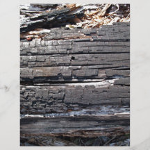 Detail of burnt wooden log with damaged surface custom flyer