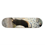 Detail Of Canon Skateboard Deck