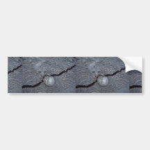 Detail of cracked lava, Bartolome Island, Galapago Bumper Sticker