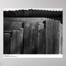 Detail of Fence, UC Santa Cruz, 1963 Poster