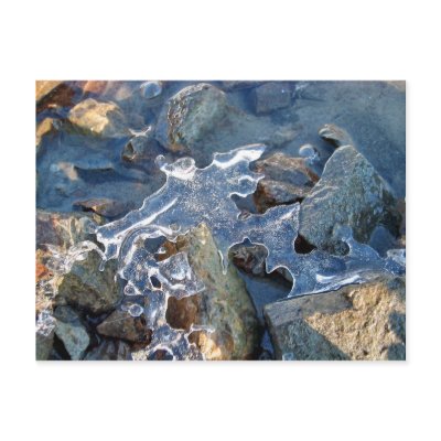 Detail of frozen river bank,ice,stone,sand,water.. post cards by patrickrp