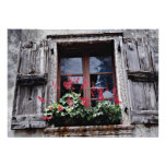 Detail of old house in Square, Garda, Italy  flowe Custom Invitation