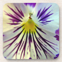 Detail of veins in purple flower coasters