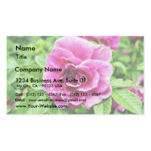 Detailed Image Of Rose Flower 3 Business Card Template