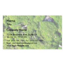 Detailed Photo Of Green Moss Business Cards