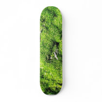 Detailed Photo Of Green Moss Skateboard Deck