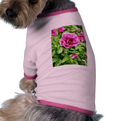 Detailed Photo Of Rose Flower Dog Clothing by lifesphere