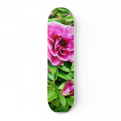 Detailed Photo Of Rose Flower Skateboards by lifesphere