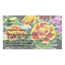 Detailed Photo Of Several American Marigold Flower Business Card Template