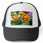 Detailed Photo Of Several American Marigold Flower Mesh Hats